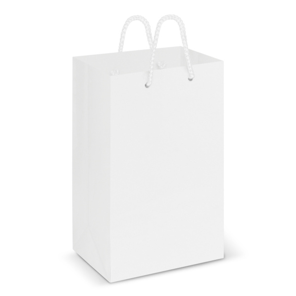 Laminated Carry Bag - Small  Thumbnail